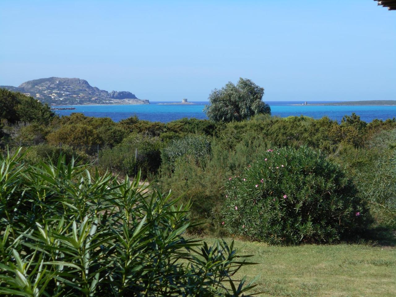 Le Case Punta Negra Stintino Exterior photo