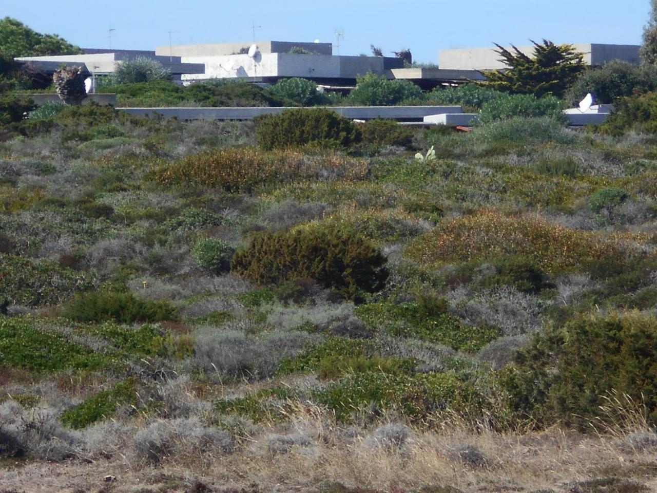Le Case Punta Negra Stintino Exterior photo